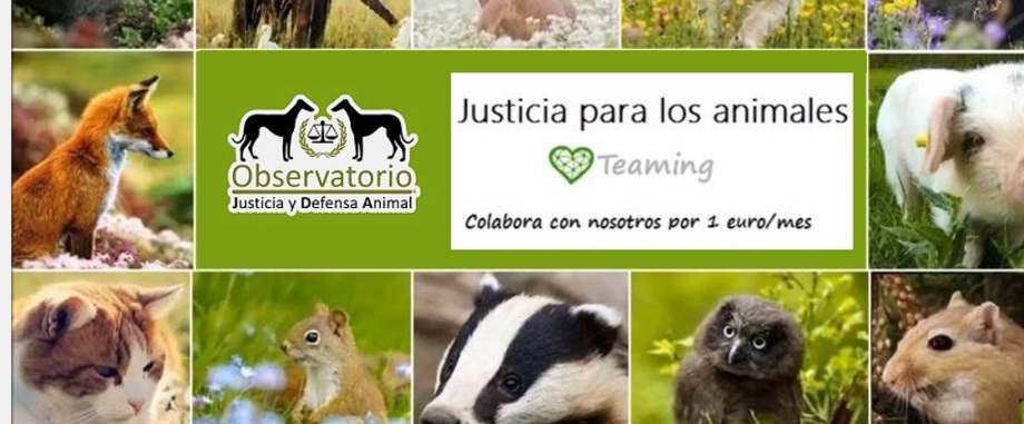 sitio de citas de animales espana